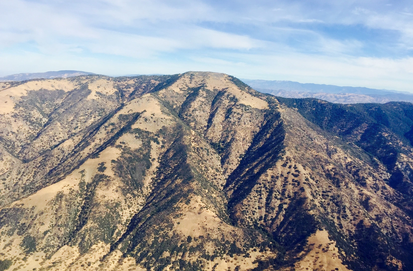 An image depicting the trail Tehachapi Mountain Trail and its surrounding area.