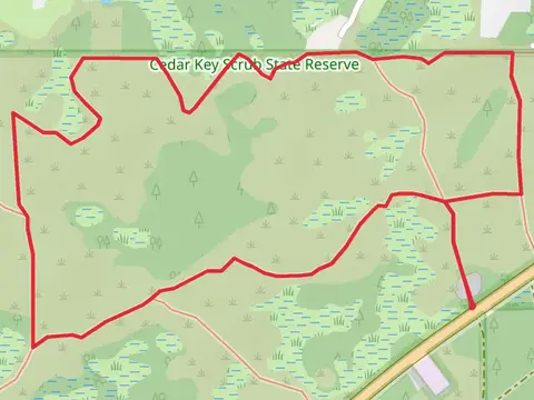 White and Orange Loop