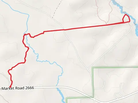 Lone Star Hiking Trail and Pine Trail