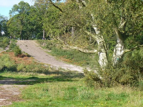 An image depicting the trail Esher Common, Black Pond and Oxshott Heath Loop and its surrounding area.