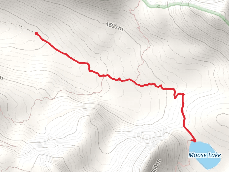Moose Lake Trail