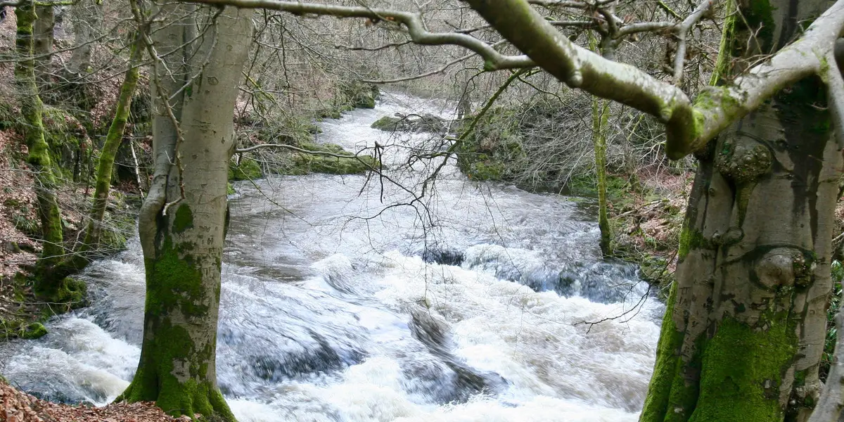 Rumbling Bridge and Crook of Devon