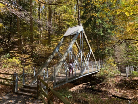 Valley Brook Road Trail