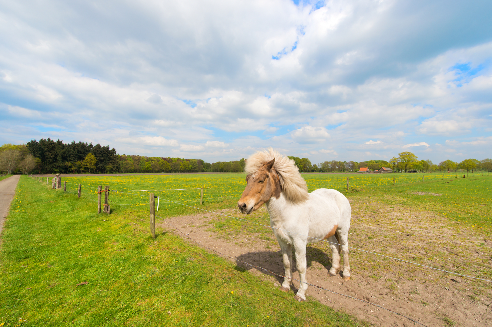 An image depicting the trail Vossenbergen, Weversbergen and Schaddeveld Loop and its surrounding area.