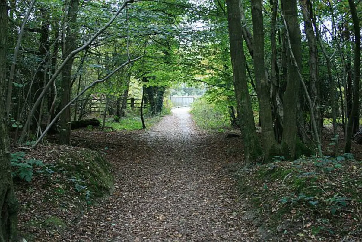 Margery Wood and Reigate Hill