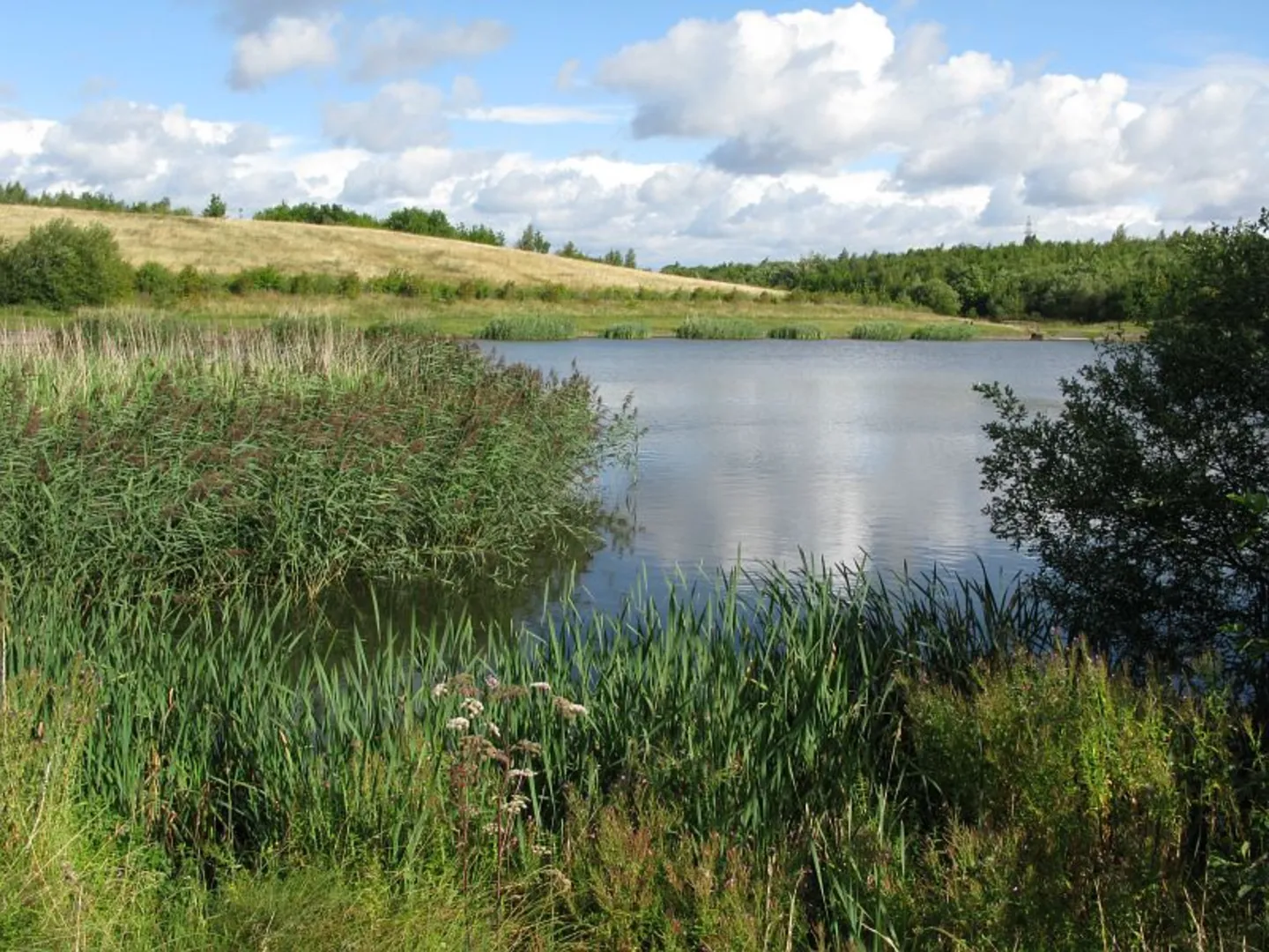 An image depicting the trail Egypt Woods and Shakespeare's Way and its surrounding area.