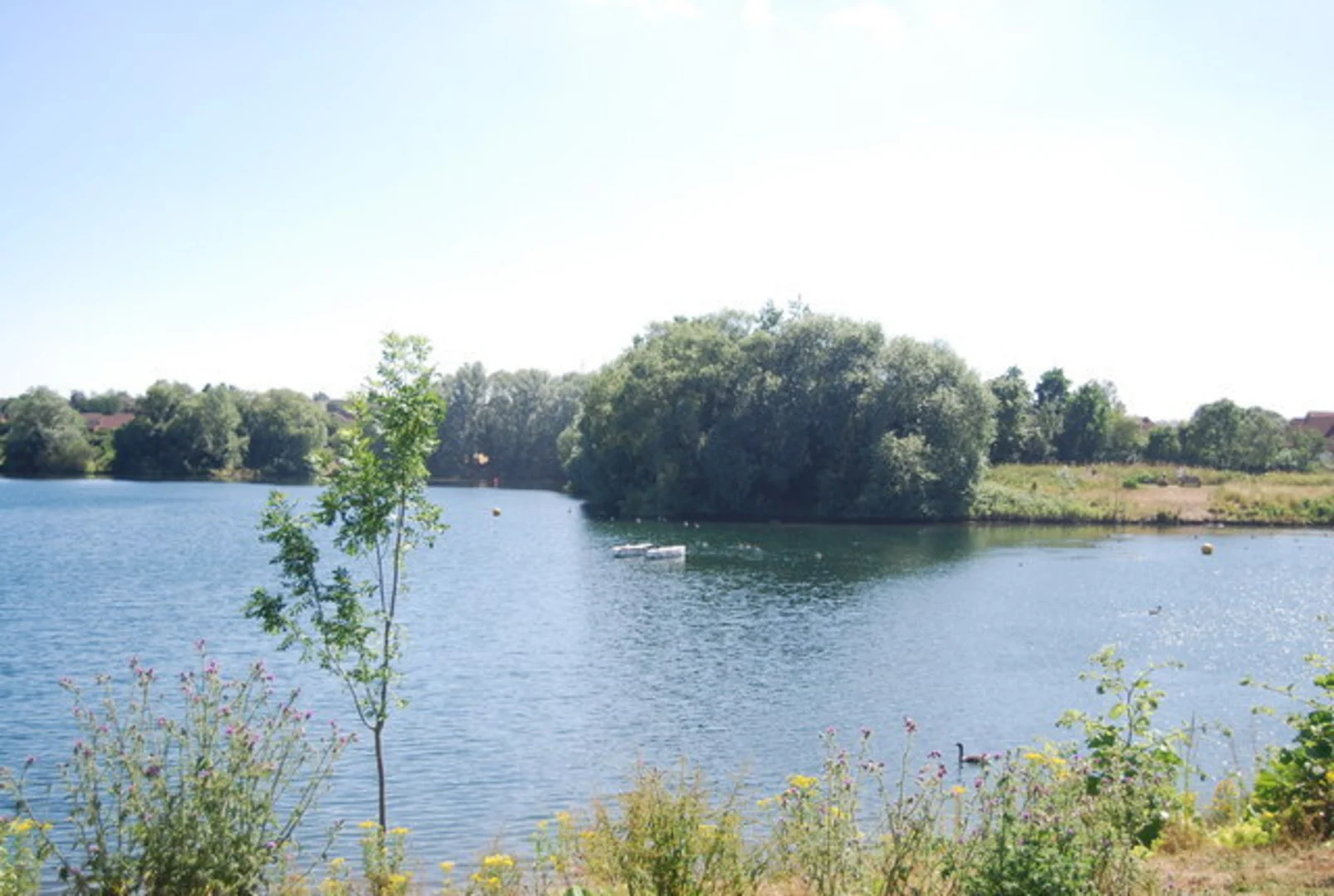An image depicting the trail Leybourne Lakes Country Park and its surrounding area.
