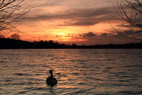 An image depicting the trail Rickmansworth Loop and its surrounding area.