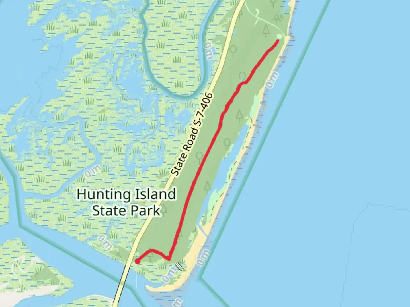 An image depicting the trail Hunting Island Nature and its surrounding area.