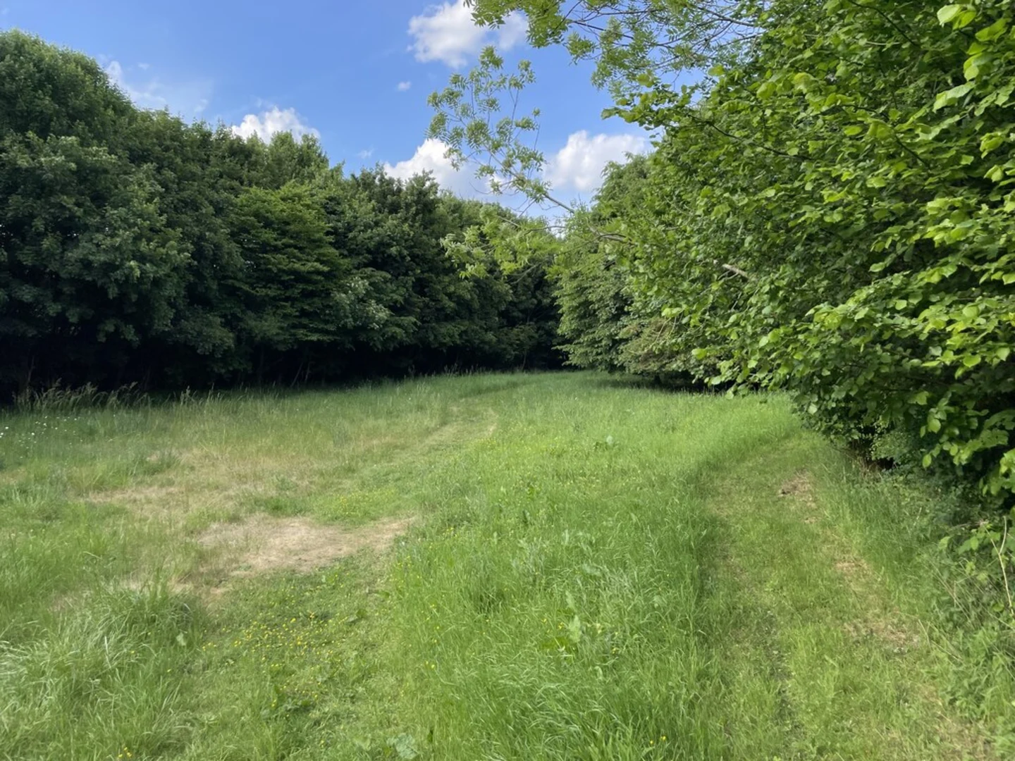 An image depicting the trail Bowman's Lakes via Watling Chase Trail and its surrounding area.