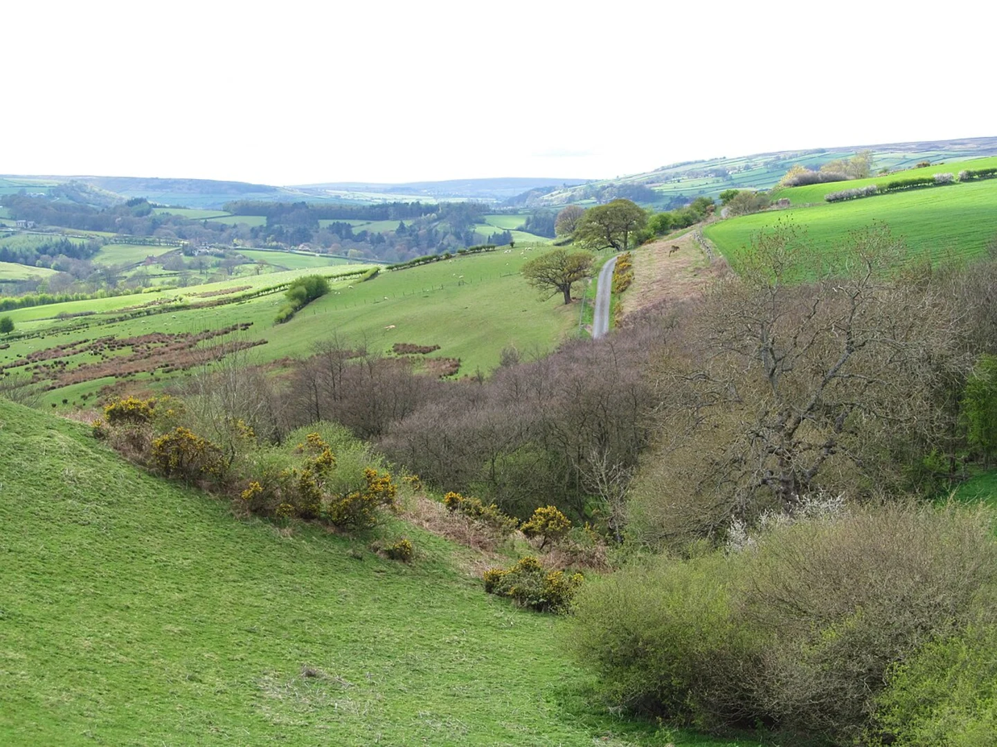 An image depicting the trail Dalegarth Loop via Eel Tarn and its surrounding area.