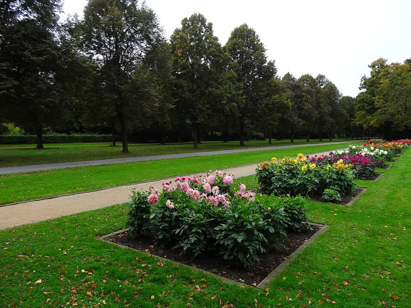 An image depicting the trail The Grand Garden of Dresden Loop and its surrounding area.