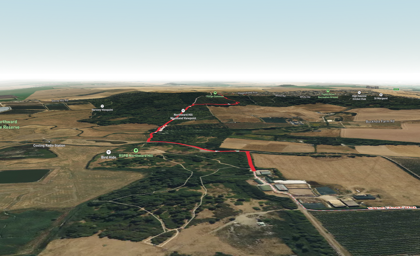 Northward Hill Nature Reserve Walk