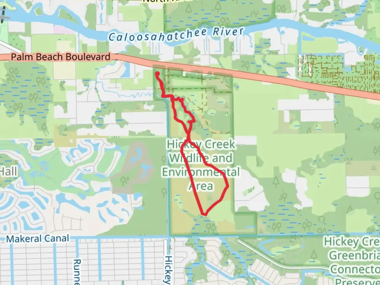 An image depicting the trail Palmetto Pines Trail via Hickey's Creek Loop Trail and its surrounding area.