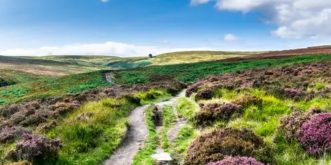 An image depicting the trail Haworth Moor Circular and its surrounding area.