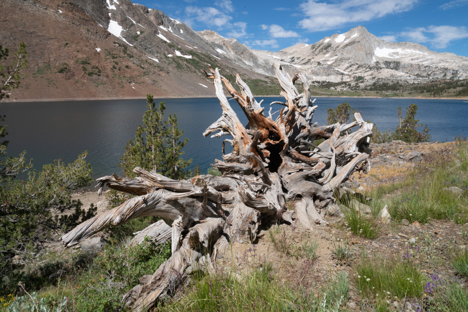An image depicting the trail Sabrina Basin Trail to Donkey Lake and its surrounding area.