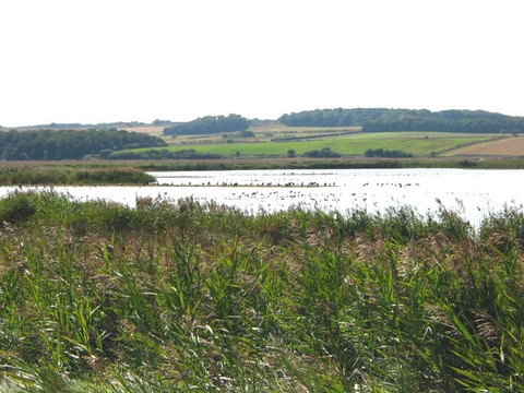 An image depicting the trail Cley Marshes Nature Reserve Loop and its surrounding area.