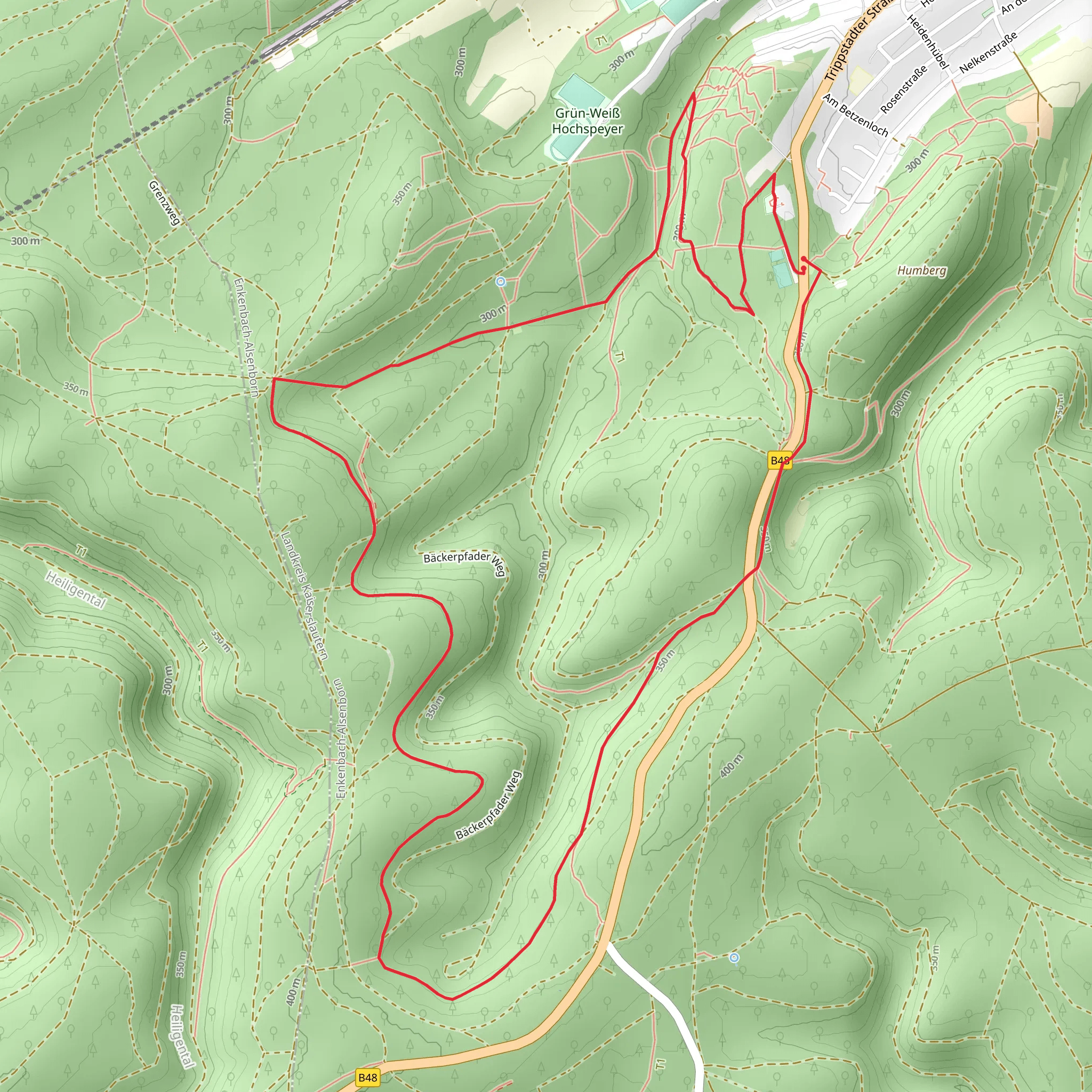 Hochspeyer Wanderweg 3 mobile static map