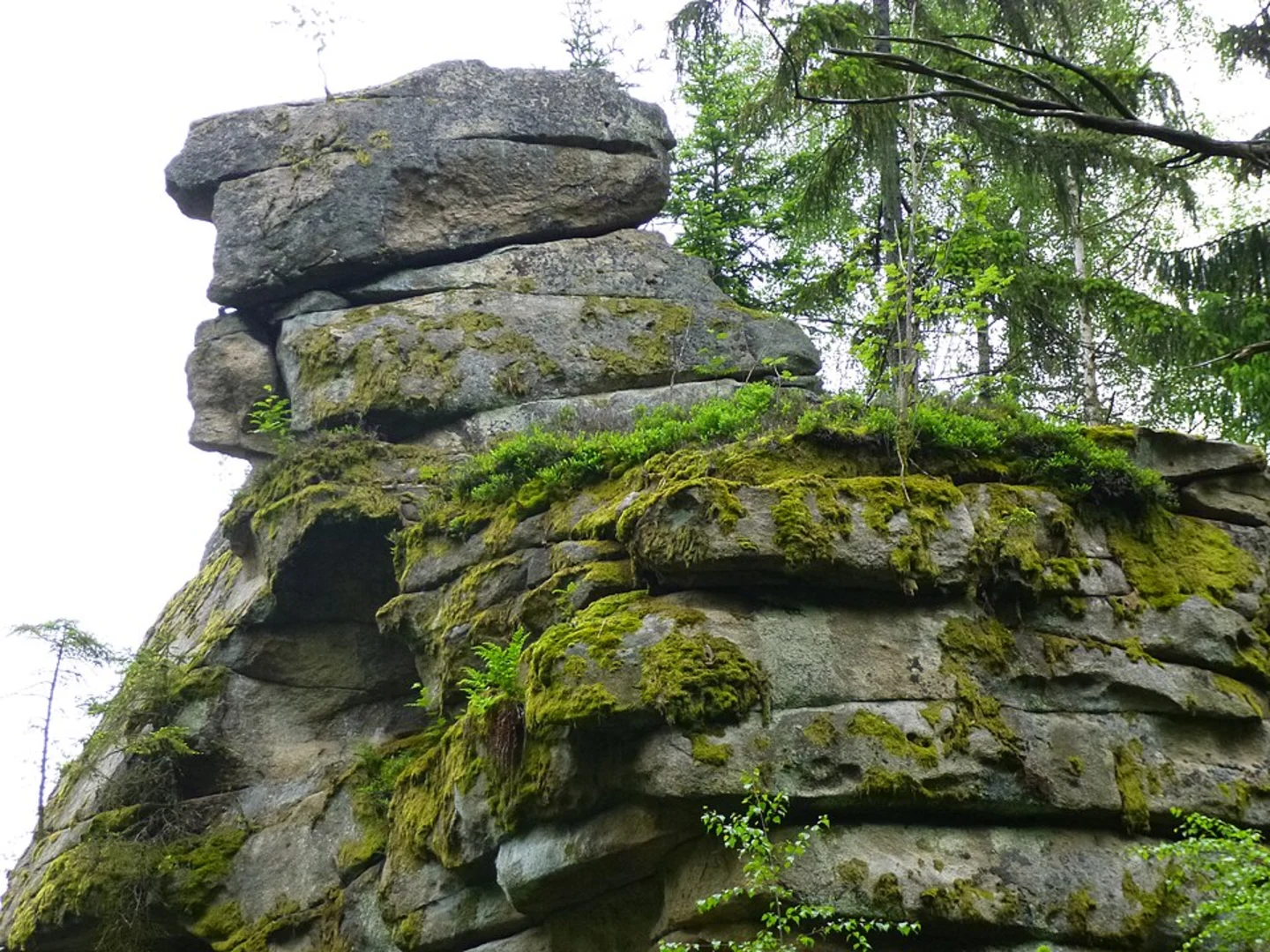 An image depicting the trail Albtal Abenteuer Track and Augenblick Runde Bad Herrenalb and its surrounding area.