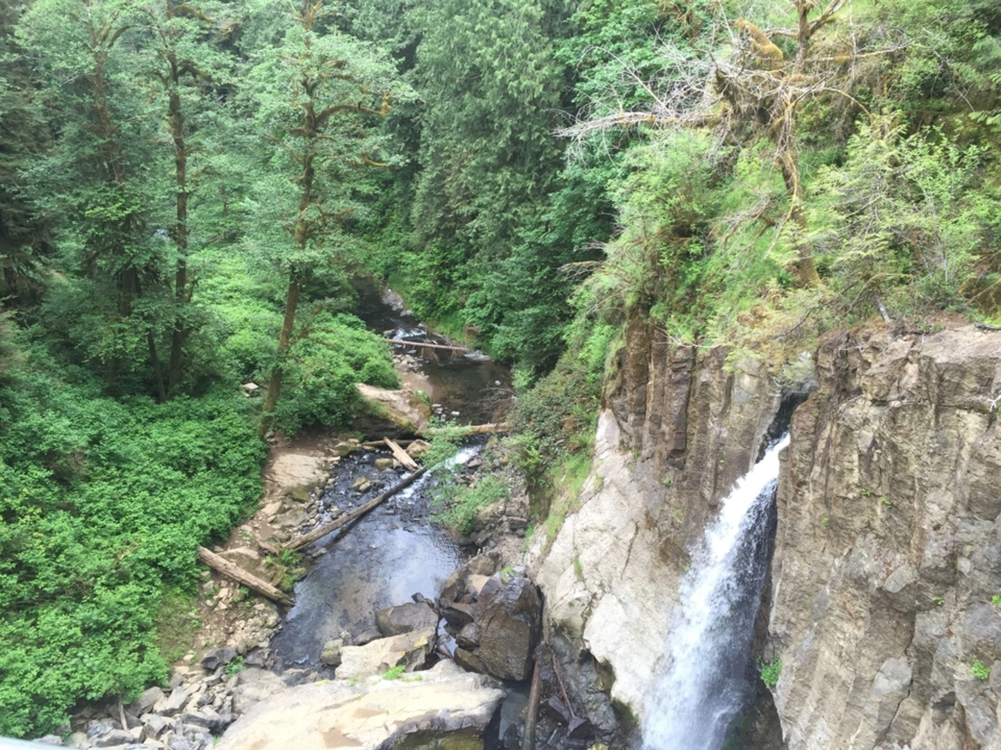 An image depicting the trail Horse Creek North Trail and its surrounding area.