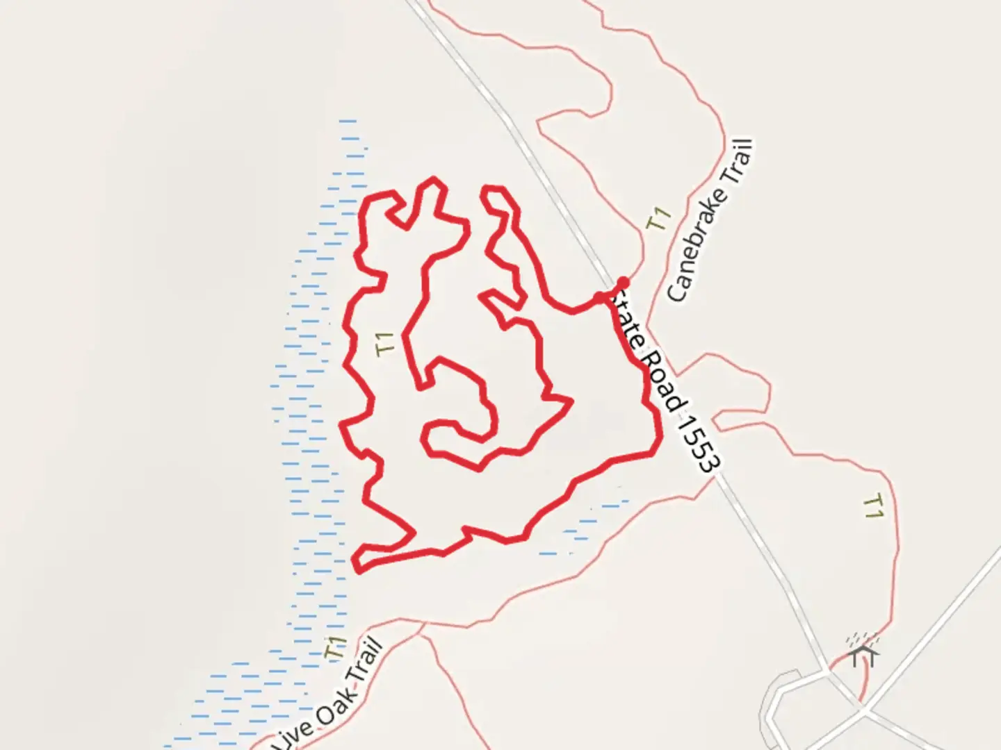 An image depicting the trail Gator Loop Trail and its surrounding area.