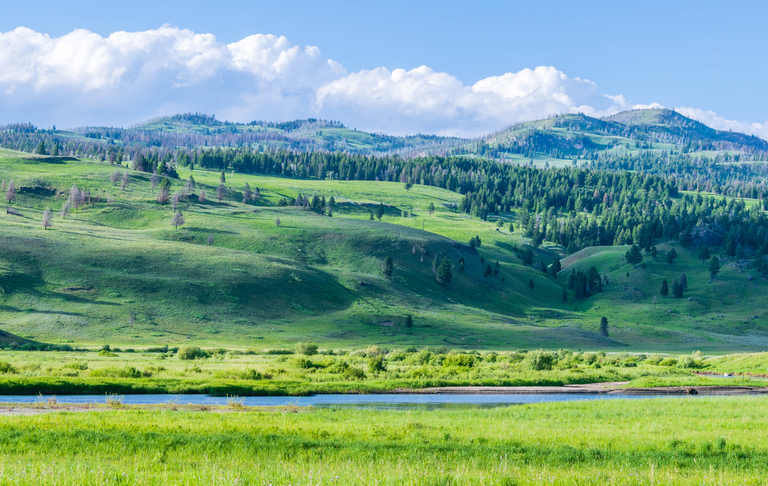 An image depicting the trail Slough Creek Trail and its surrounding area.