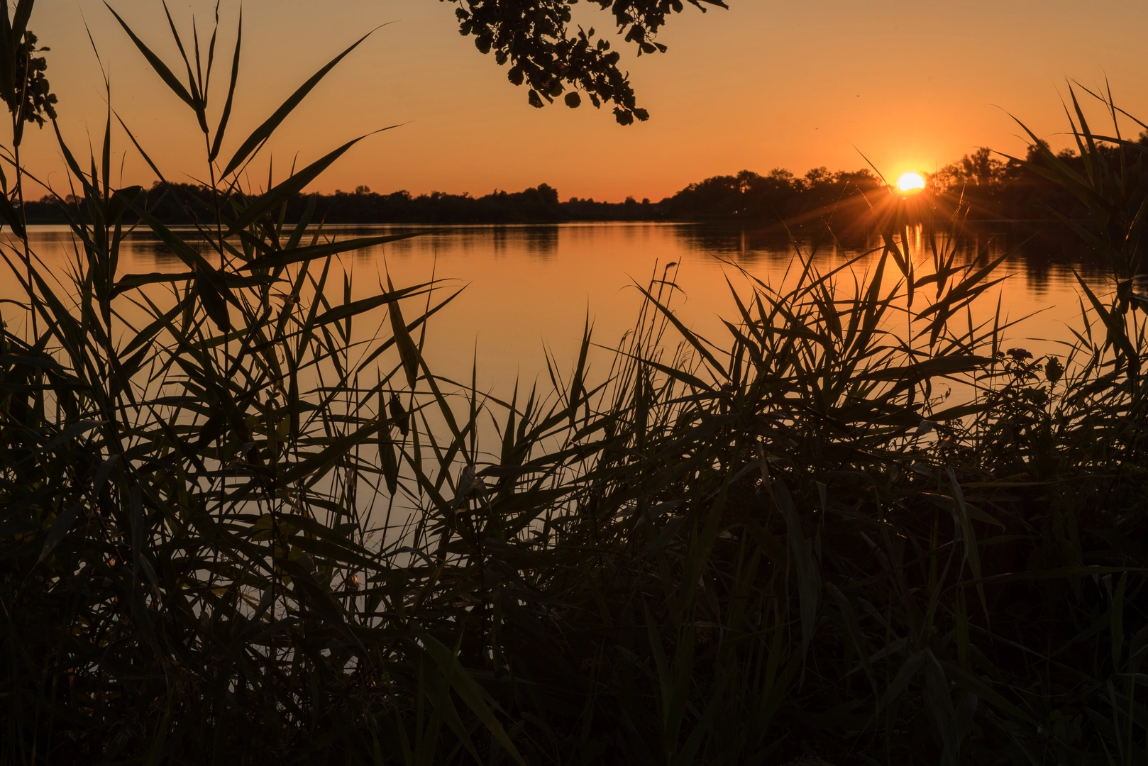 An image depicting the trail De Dreef, De Zoom, Paardenbosch, Hollandsche Rading and Loosdrechtsche Plassen Loop and its surrounding area.