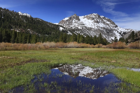 An image depicting the trail Fern Lake via Yost Creek Trail and its surrounding area.