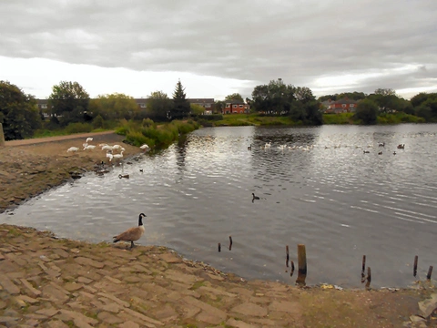 Doffcocker Lodge, Moss Bank Park and Delph Hill Loop