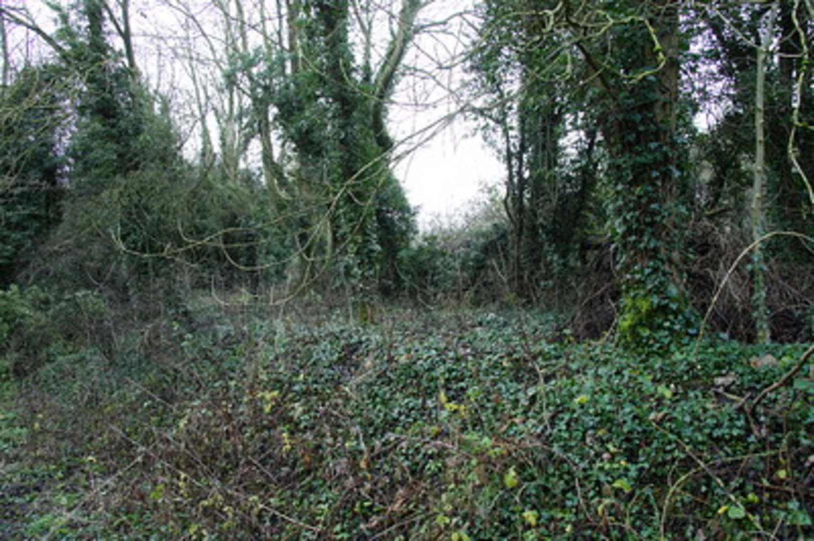 An image depicting the trail Buckingham Railway Walk and its surrounding area.