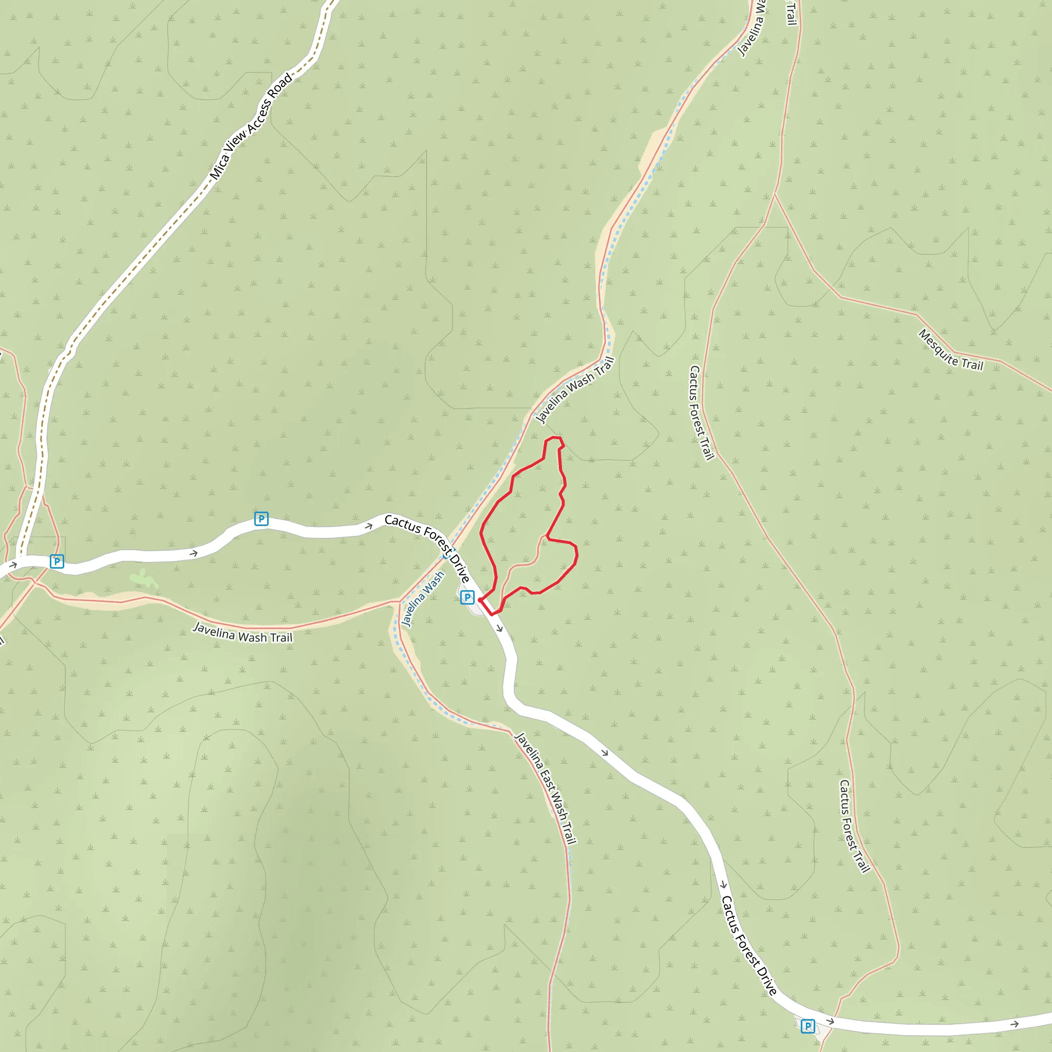 Desert Ecology Trail Loop mobile static map