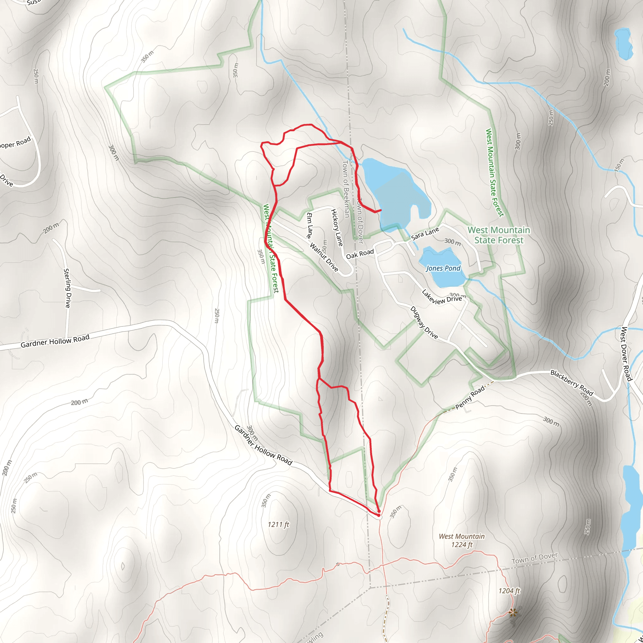 Jones Pond Loop via Gardener Hollow Road mobile static map