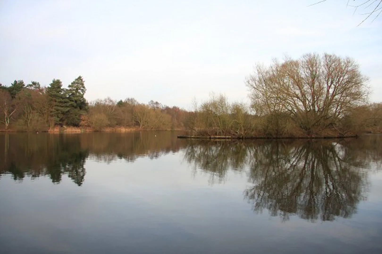An image depicting the trail West Stow Country Park Lake Loop and its surrounding area.