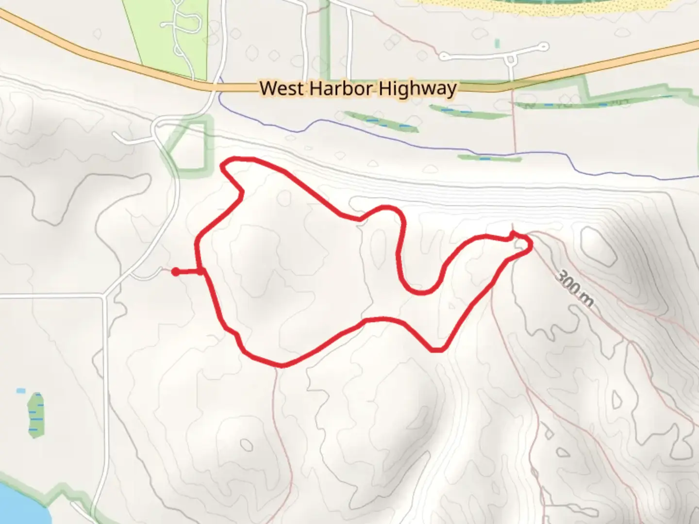 An image depicting the trail Alligator Hill Loop and its surrounding area.