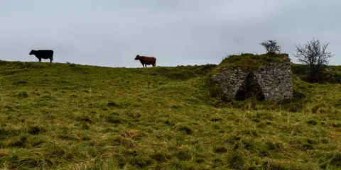 An image depicting the trail Derby Nomad Way and its surrounding area.