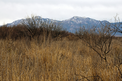 An image depicting the trail Sunnyside Canyon Trail and its surrounding area.