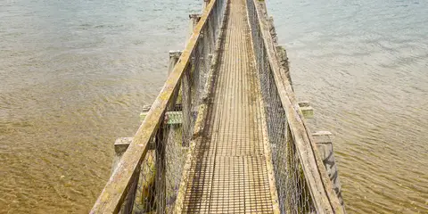 An image depicting the trail Whananaki Coastal Walkway and its surrounding area.