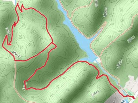 Steele Creek Overlook Loop