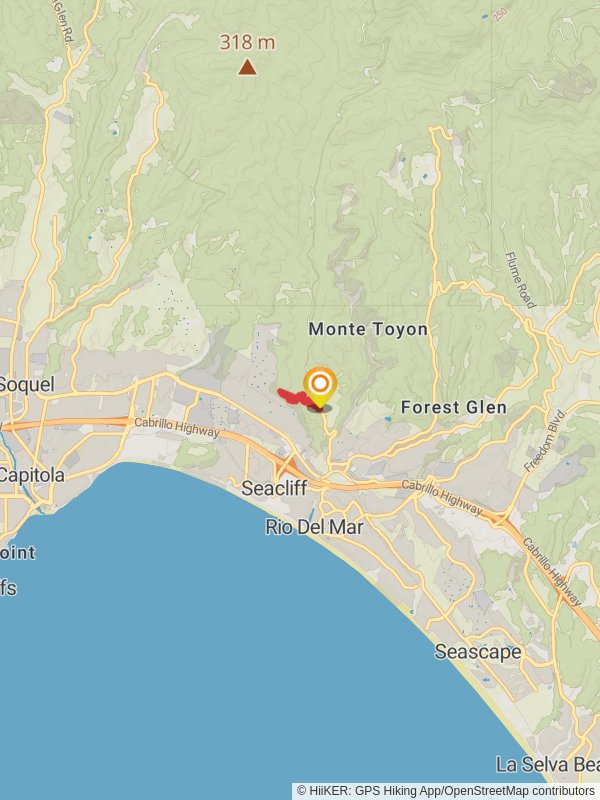 Old Growth Loop via Split Stuff Trail