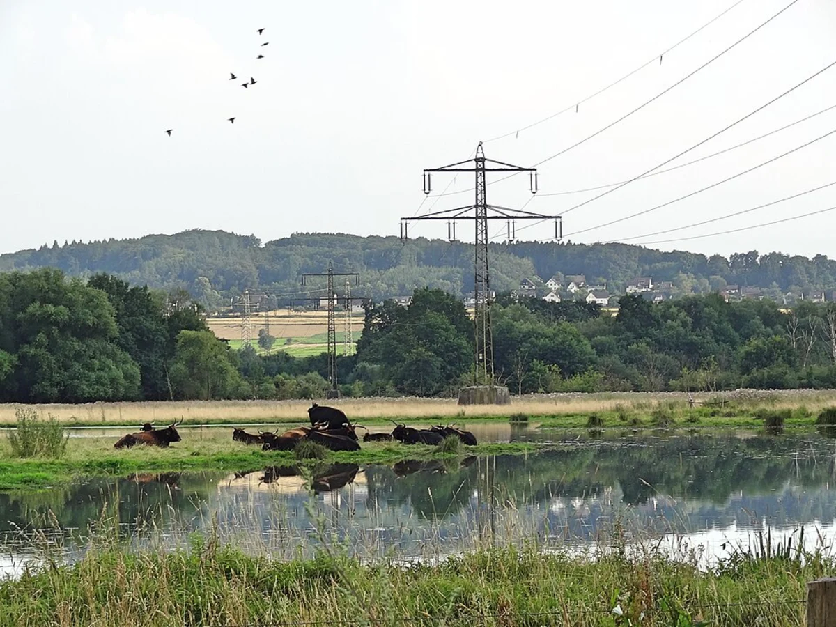 Froendenberg Rundwanderweg