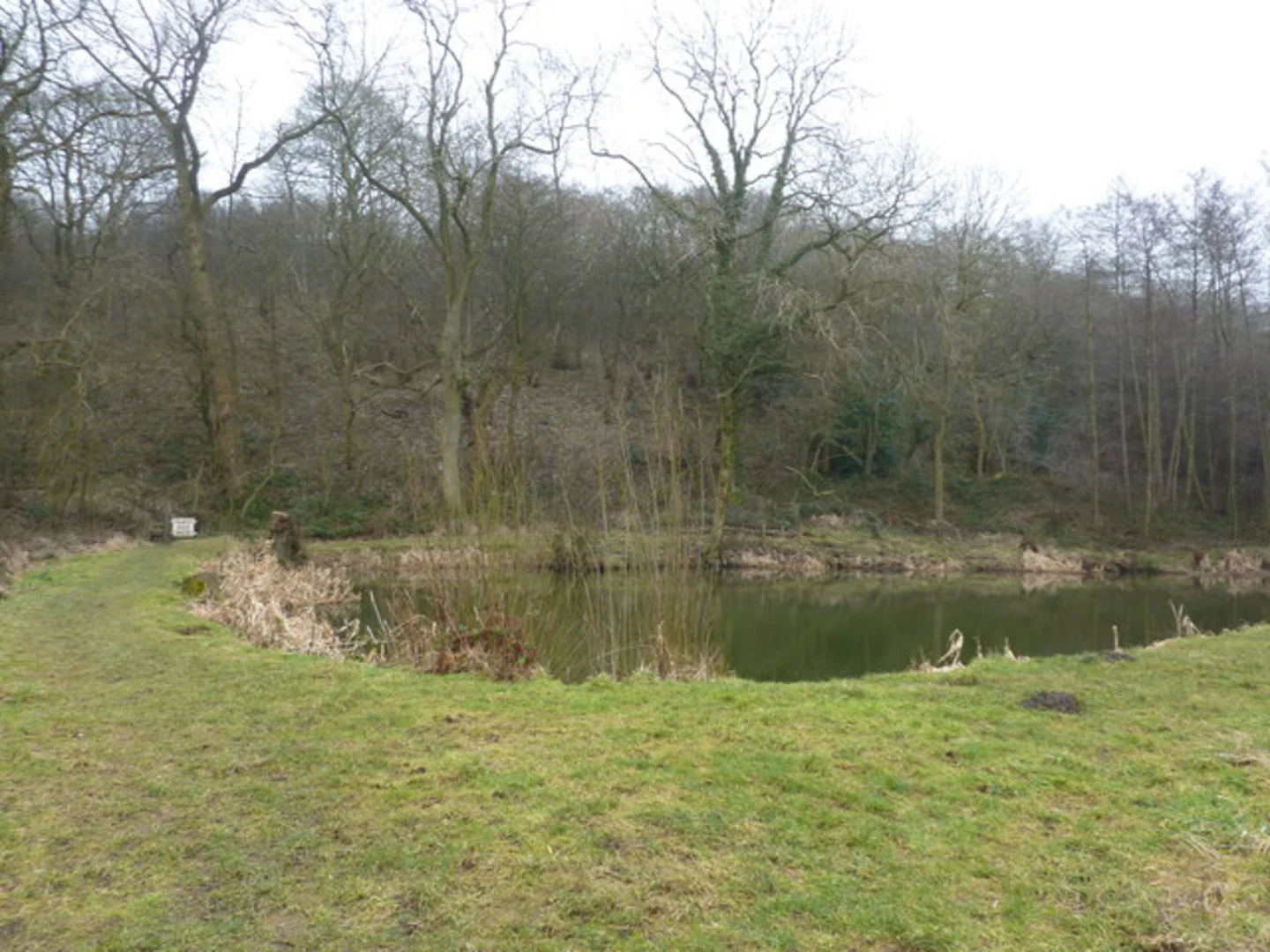 An image depicting the trail Masham to Ilton Loop and its surrounding area.