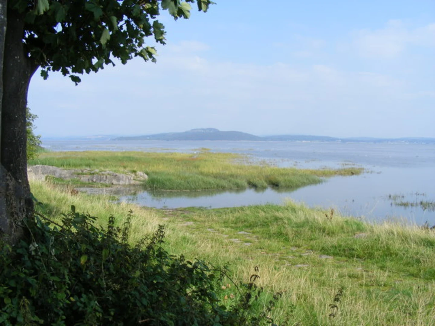 An image depicting the trail Kents Bank Loop and its surrounding area.
