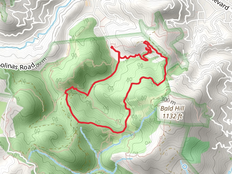 Deer Park, Yolanda and Junction Loop Trail