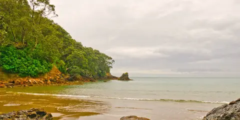 An image depicting the trail Waihi Beach to Homunga Bay and its surrounding area.