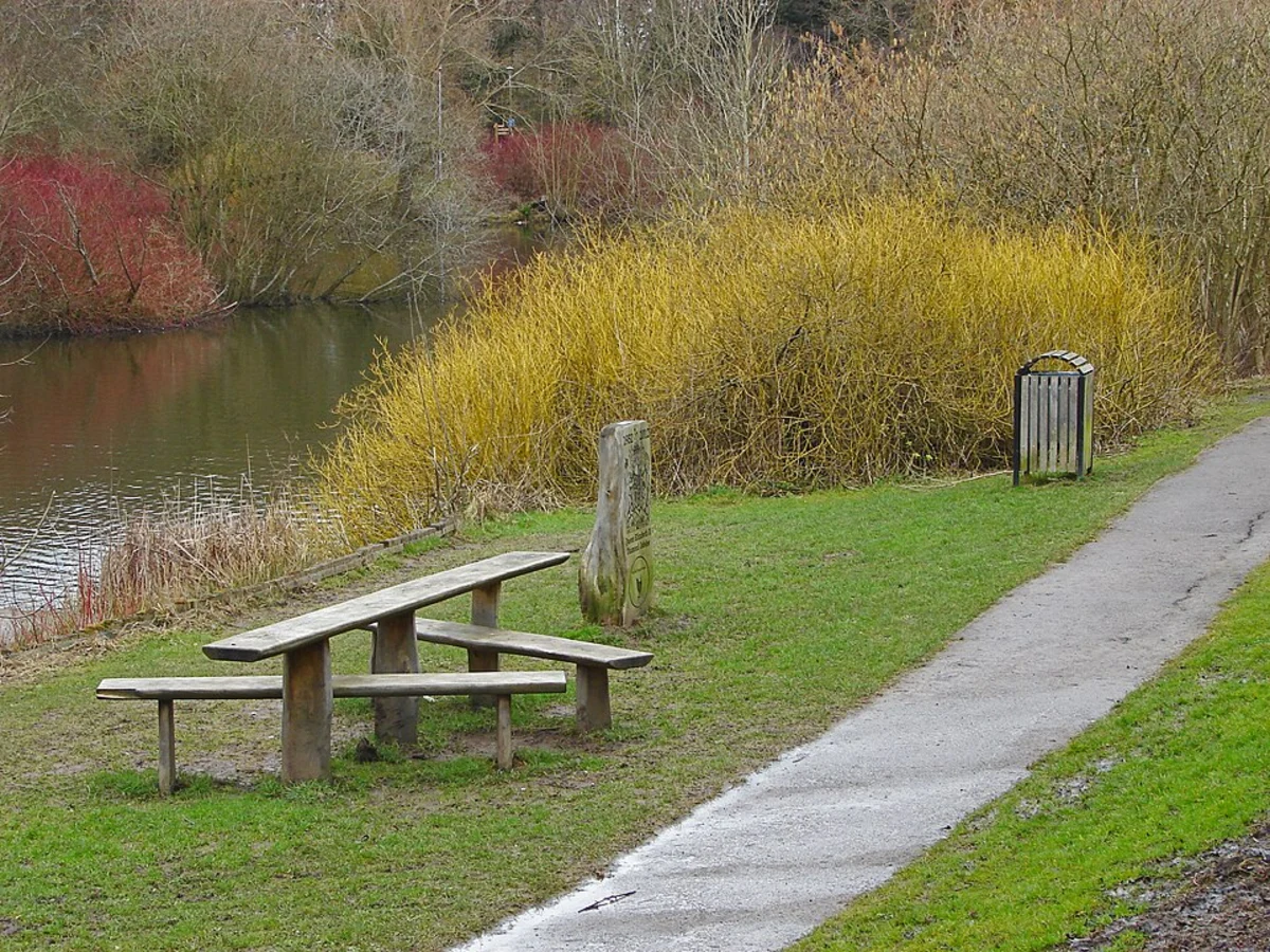Whitegrove Copse, Hayley Green Wood and Westmorland Park Loop