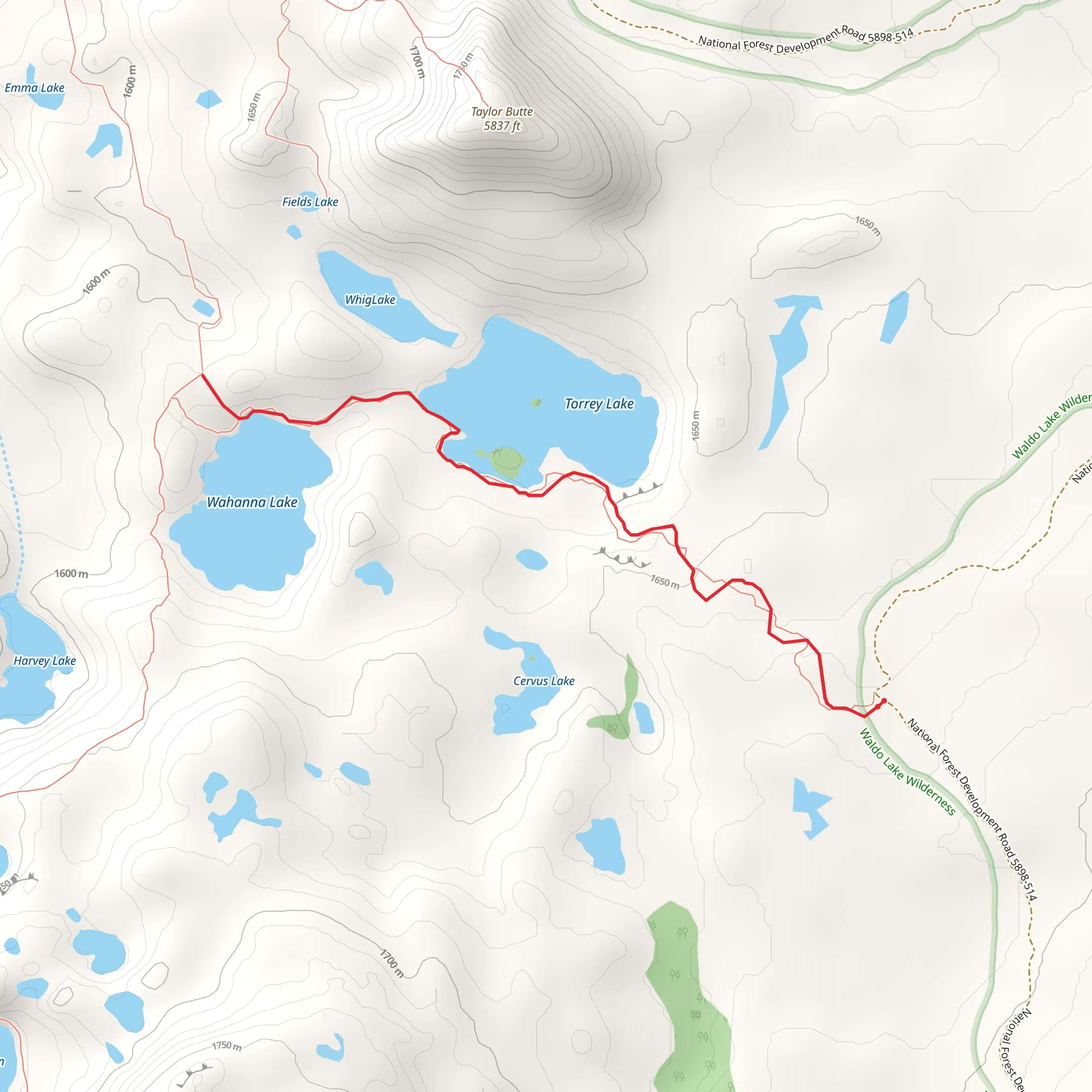 Whig and Torrey Way Trail mobile static map