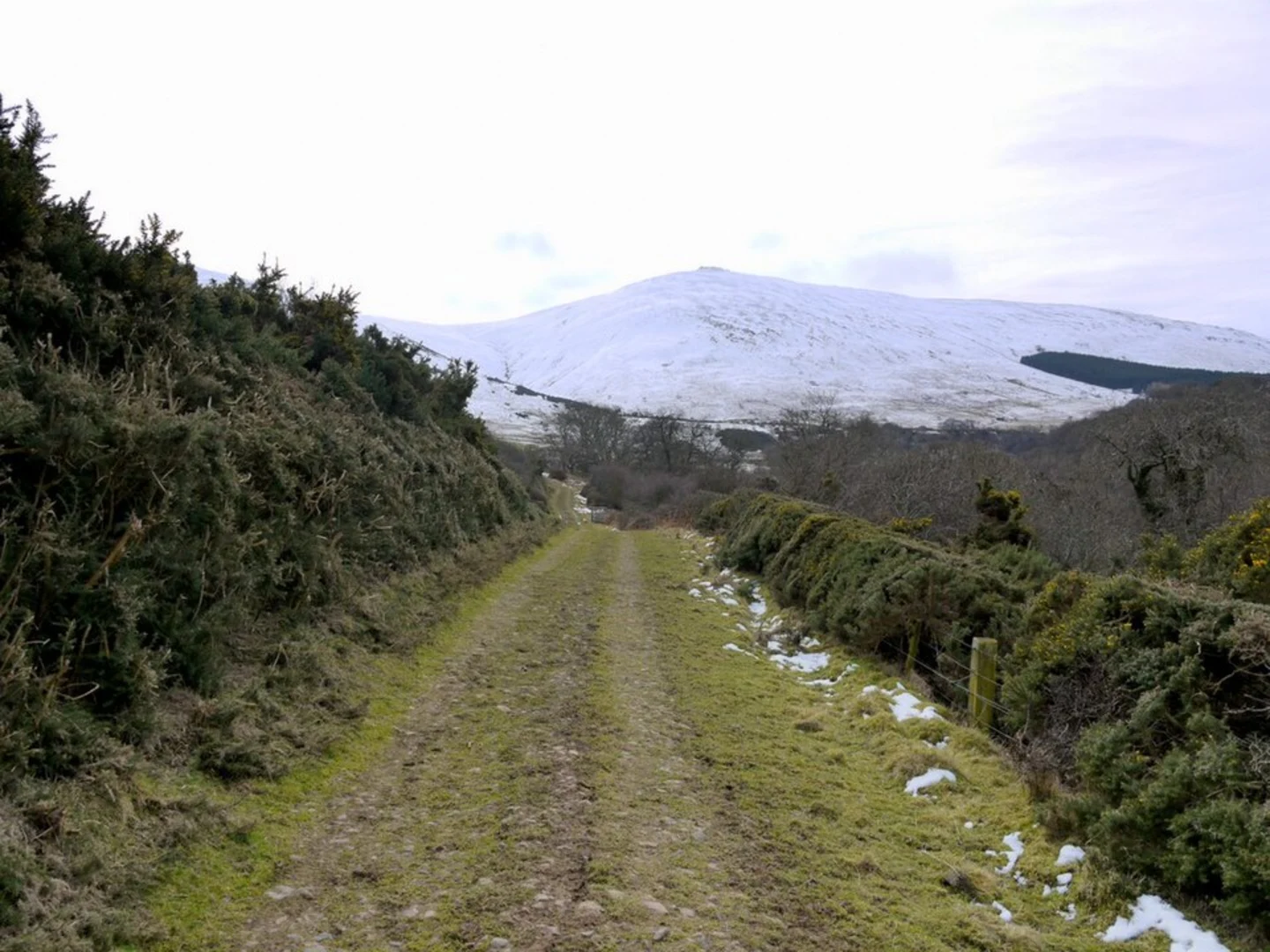 An image depicting the trail West Hill Fort and St Gregory's Holl Fort Loop and its surrounding area.