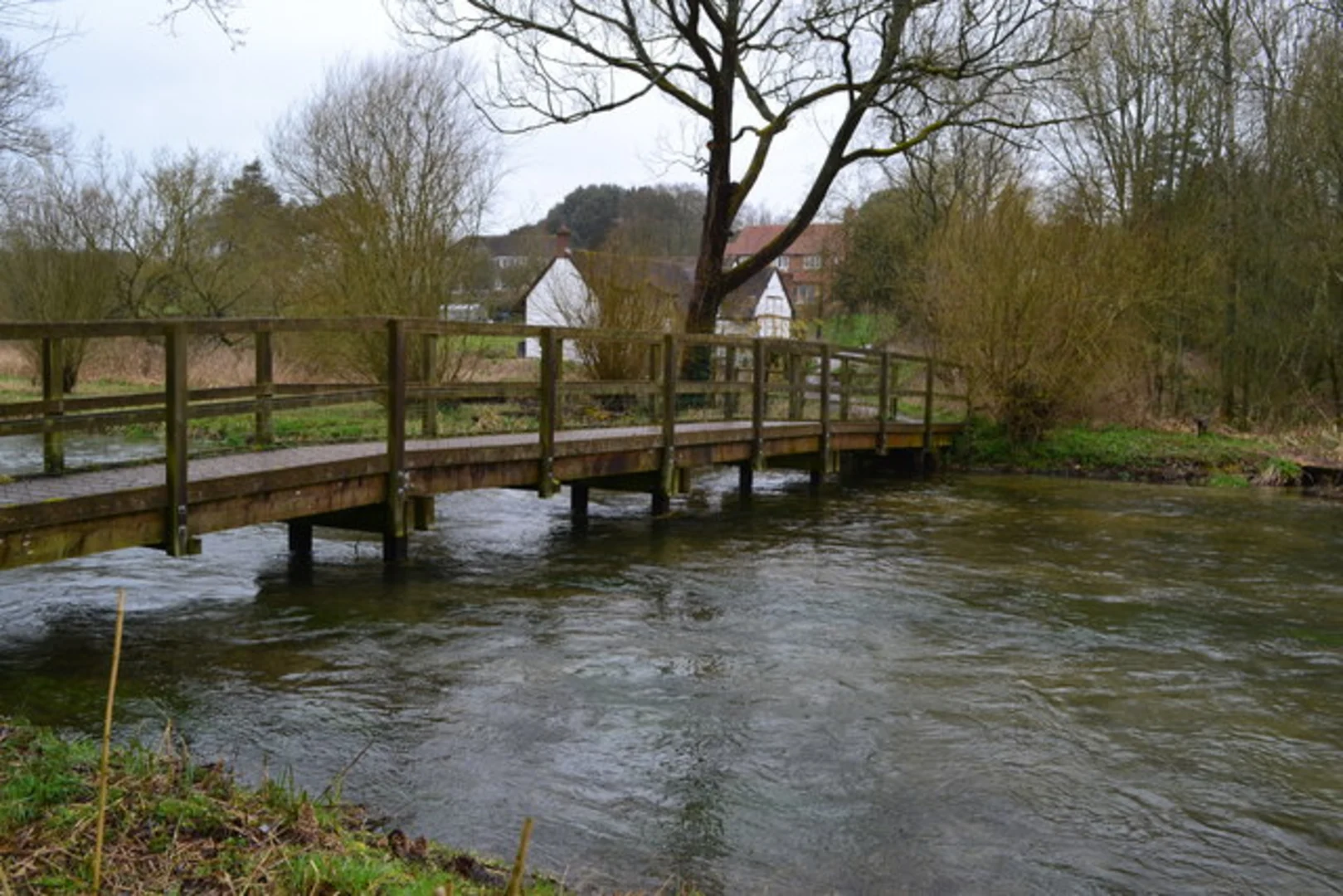 An image depicting the trail Easton and Itchen Abbas Loop and its surrounding area.