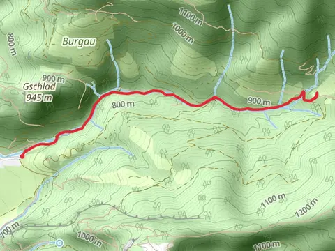 Feldlahnalm Walk via Wanderweg 75 - Wössen
