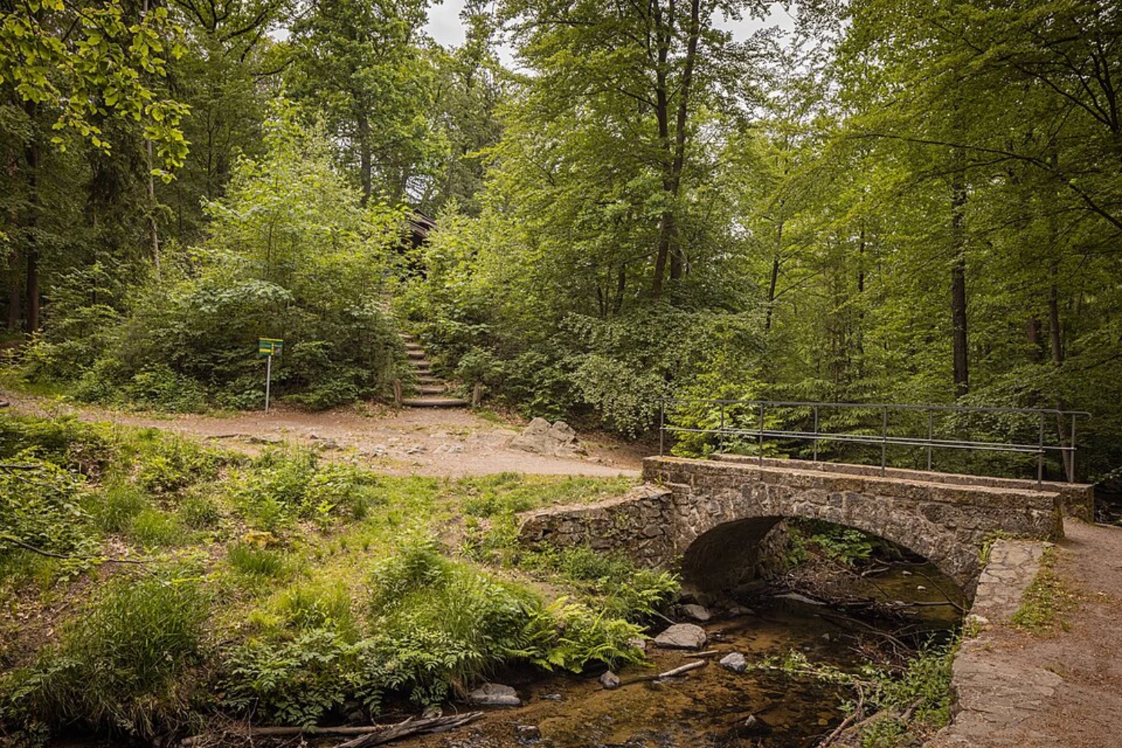An image depicting the trail Prießnitzwasserfall Loop via Nesselgrundweg and its surrounding area.